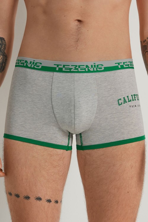 Tezenis Printed Bomull Boxers with Logo Elastic Waistband Grå Ljus | VNWQP-1639