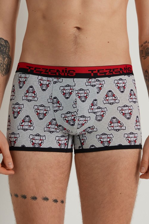 Tezenis Printed Bomull Boxers with Logo Elastic Waistband Grå Ljus | XYEGF-8061